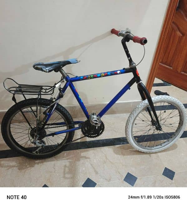 Phoenix bicycle 1