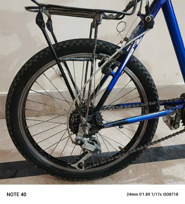 Phoenix bicycle 3