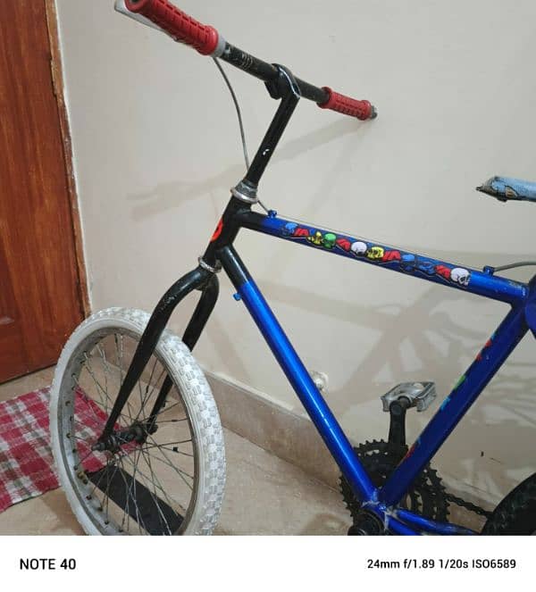 Phoenix bicycle 4