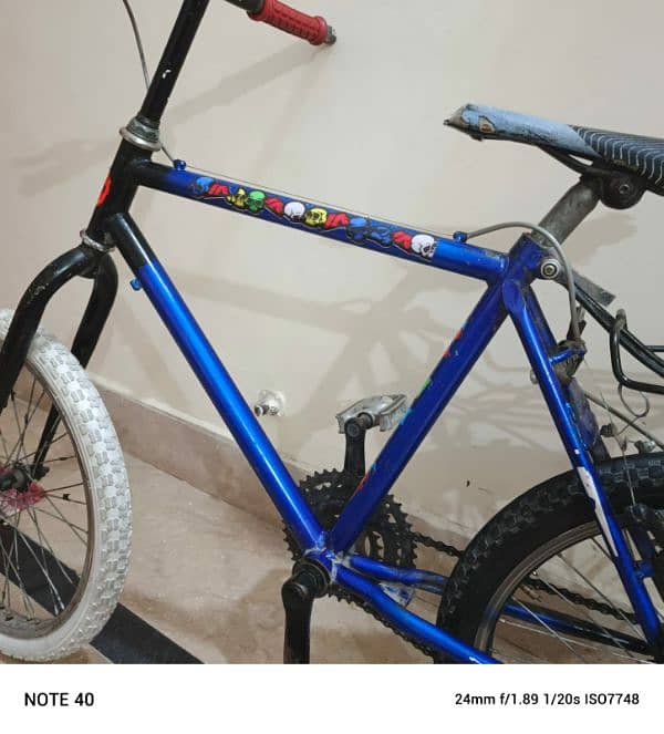Phoenix bicycle 5