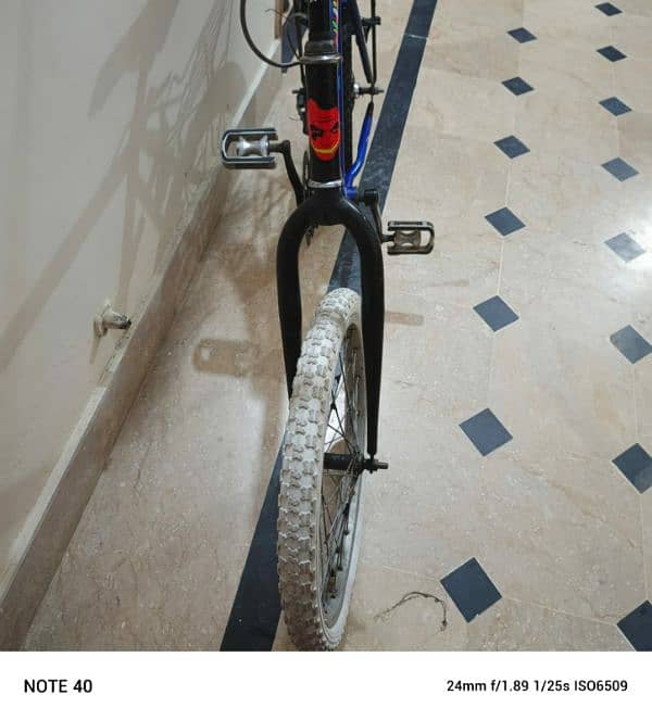 Phoenix bicycle 6