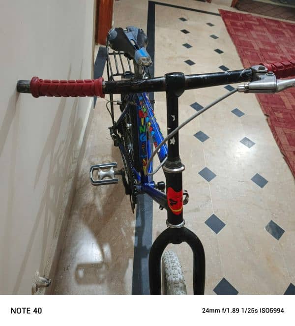 Phoenix bicycle 7