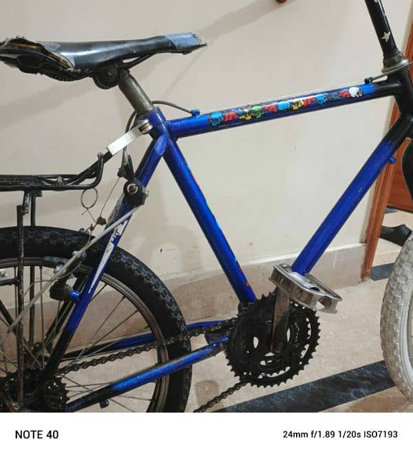 Phoenix bicycle 8