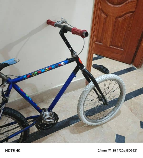 Phoenix bicycle 9