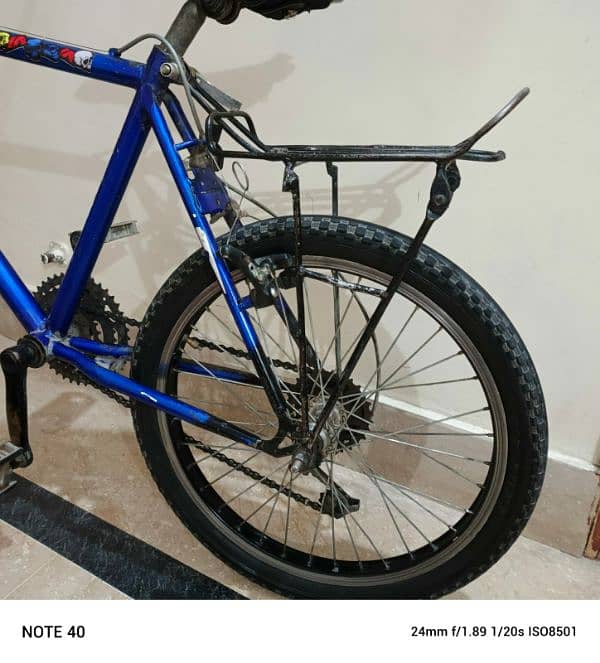Phoenix bicycle 10