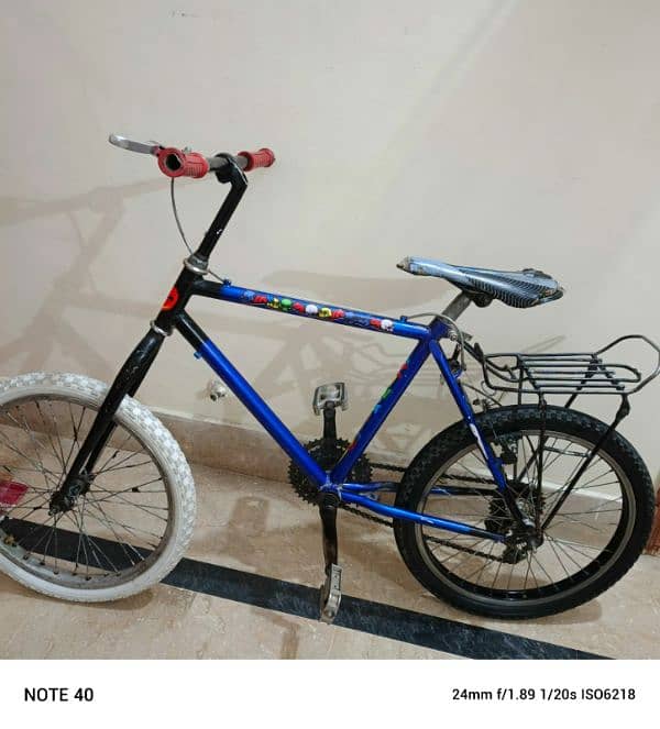Phoenix bicycle 11