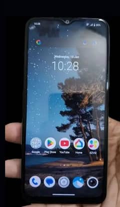 vivo