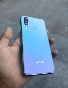 vivo