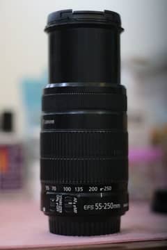 Canon 55-250 lens