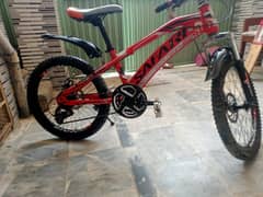 cycle (medium size)