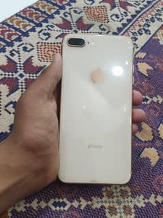 8plus pta approved
