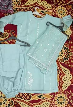 stitched beautiful simple embroidery dress  in soft green color