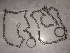 Chain