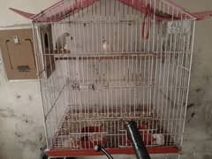 birds with 4 cages read description