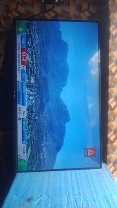 EcoStar led 55inch