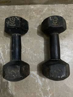 10k dumbbell 5kg/5kg pair