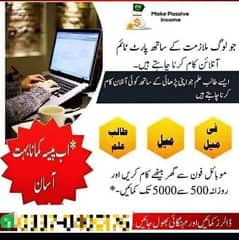 without investment online work