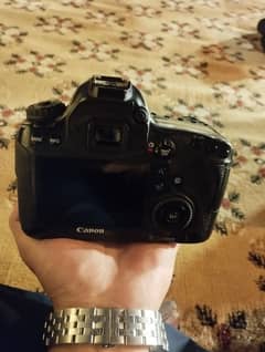 Canon 6D