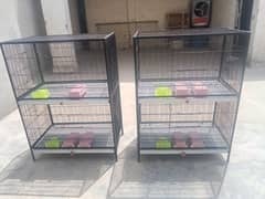 Bird's cage