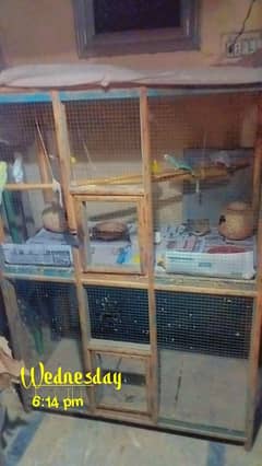 bird cage, hen cages, parrot cage.