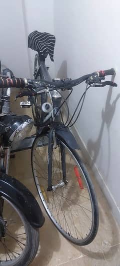 cycle