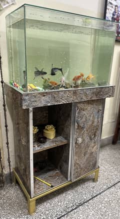 Fish