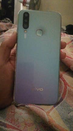 vivo