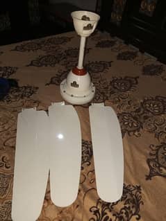 ac DC fan Indus fan fore sale