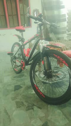 Lazer