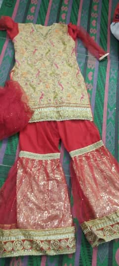 all used clothes ready to wear only 1 time use . good condition ###