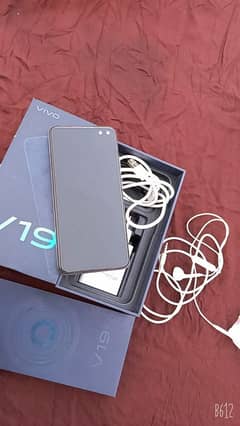 vivo