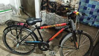 cycle