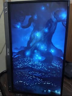 asus zenscreen mb16ac 15.6 inches