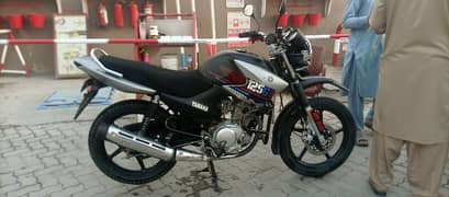 YBR