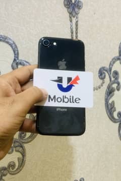 iPhone 8