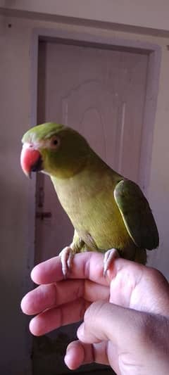Ring