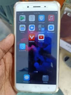 vivo