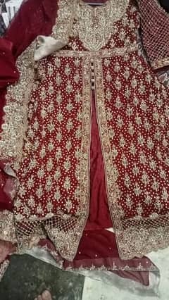 Rana