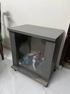 TV