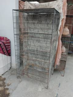 Birds cage