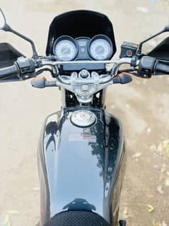 Yamaha yb125z-dx model 2024