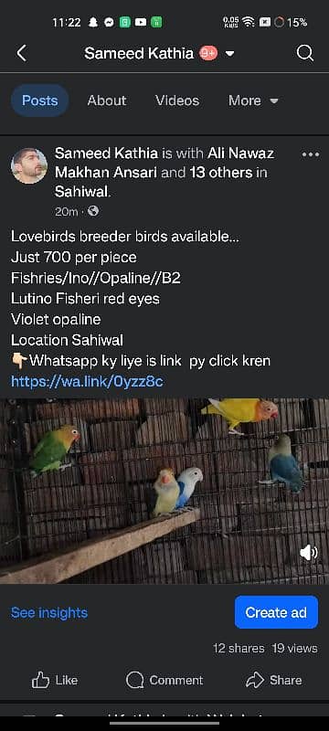 Small breeding setup for sale 3