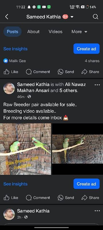 Small breeding setup for sale 5