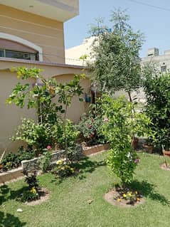 10 Marla Lower Portion For Rent With Gas
