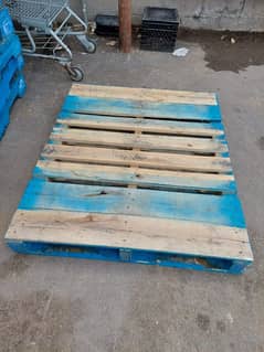 wooden pallets and plastic pallets