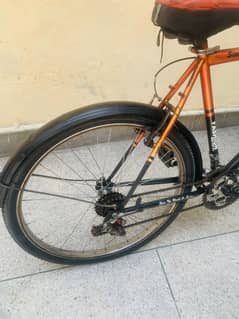 Phoneix imported cycle
