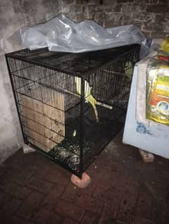 Cage