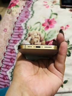 iPhone 12 Pro
