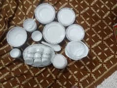 Elegant Dinner Set-67 Pieces