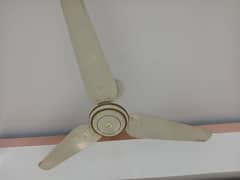 cieling